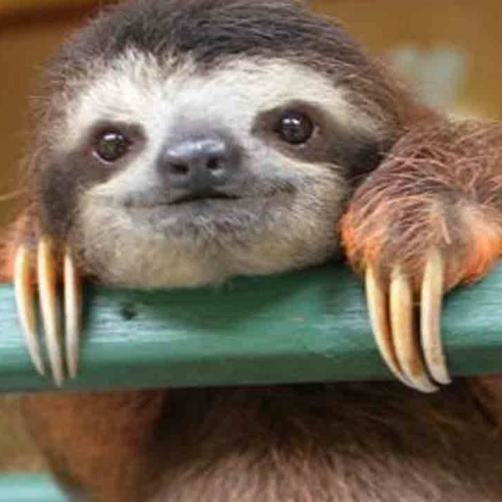 Meet your Posher, Adria